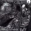 /DARKTHRONE / F.O.A.D.