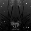/MOLOCH / Isolation der Essenz