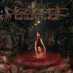 /DISGORGE (MEX) / Gore Blessed To The Worms