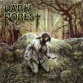 DARK FOREST / The Awakening []