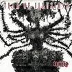 JAPANESE BAND/UNITED / Tear of Illusions (国)