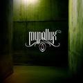 MYPOLLUX / Dedales (Áj []