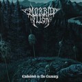 MORBID FLESH / Embedded in the Ossuary []