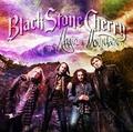 BLACK STONE CHERRY / Magic Mountain []