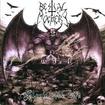 中古２/BESTIAL MOCKERY / Slaying the Life (中古）