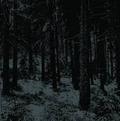 MOLOCH / Abstrakter Wald []