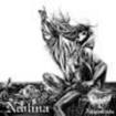 JAPANESE BAND/AMPULHETA / Neblina