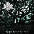 ABYSMAL DEPTHS / The Pain Shows in Dead Woods []