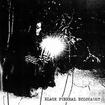/ORLOK / Black Funeral Holocaust (satanic warmaster)