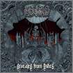/MORBIDITY / Revealed from Ashes