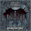 MORBIDITY / Revealed from Ashes []