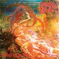 MORBID ANGEL / Blessed are the Sick []