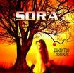 /SORA / Demented Honour (slip)