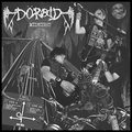DORAID / MIDNIGHT (10hj []