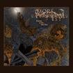 /MORS PRINCIPIUM EST / Dawn of the 5th Era (国内盤)