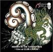 JAPANESE BAND/MANIPULATED SLAVES / Hidden in the Sandstorm  
