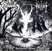 JAPANESE BAND/SABBAT / NIADH / Nefarious Ritual (split/ 7”）