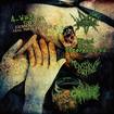 /MINCER/FECAL BODY INCORPORATED/MENSTRUAL COCKTAIL/CANNIBE / Necrosplattered Anal Vomit Fistfuck (split)