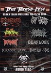 JAPANESE BAND/V.A / TRUE THRASH FEST 2014