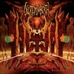 /DECREPIT BIRTH / Polarity