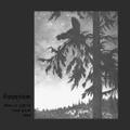 EMPYRIUM / Where at night the Wood~ (Áj []