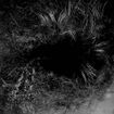 JAPANESE BAND/CORRUPTED / 喪失：LOSS (7”) 