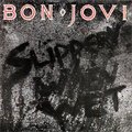 BON JOVI / Slippery When Wet []