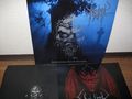SADISTIC INTENT / Reawakening Horrid Thoughts (LP) []