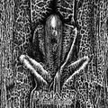 ILDJARN / Forest Poetry  []