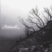 /ATARAXIE / Slow Transcending Agony (digi)