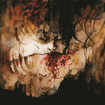 /SHINING / IX - Everyone Everything Everywhere Ends