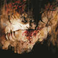 SHINING / IX - Everyone Everything Everywhere Ends []