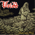 VOIDD / Desperate Truth (2CD) []