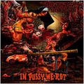 CRIMINAL VAGINA / In Pussy We Ro []