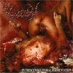 /VULVECTOMY / Putrescent Clitoral Fermentation