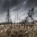 WIEGEDOOD / De doden hebben het goed (digi) []