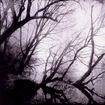/ASTROFAES / Knowing No Dawn (digi) (1st/2nd demo comp)