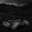 /ATREYU / Long Live +1 (digi)