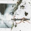中古２/FROM AUTUMN TO ASHES / Too bad ~(中古）