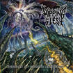 /RIPPING FLESH / Episodes of Chaotic Extinction