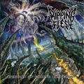 RIPPING FLESH / Episodes of Chaotic Extinction []