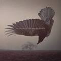 KATATONIA / The Fall of Hearts (digi) []