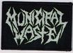/MUNICIPAL WASTE / logo (sp)