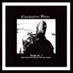 /CLANDESTINE BLAZE / Archive vol. 2