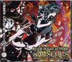JAPANESE BAND/岡垣正志＆フレンズ / Nauseious Scarlet Fantasia XVII