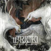 HEAVY METAL/BRICK / Faceless Strangers