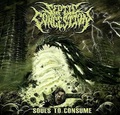 SEPTIC CONGESTION / Souls to Consume []