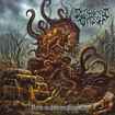 /DISFIGUREMENT OF FLESH / Deity of Hideous Fertility (slip)