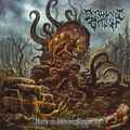 DISFIGUREMENT OF FLESH / Deity of Hideous Fertility (slip) []