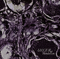 ULCER / Vandalism  []